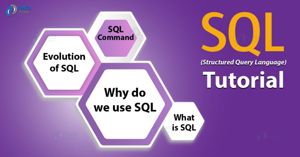 Backend Web Development Languages