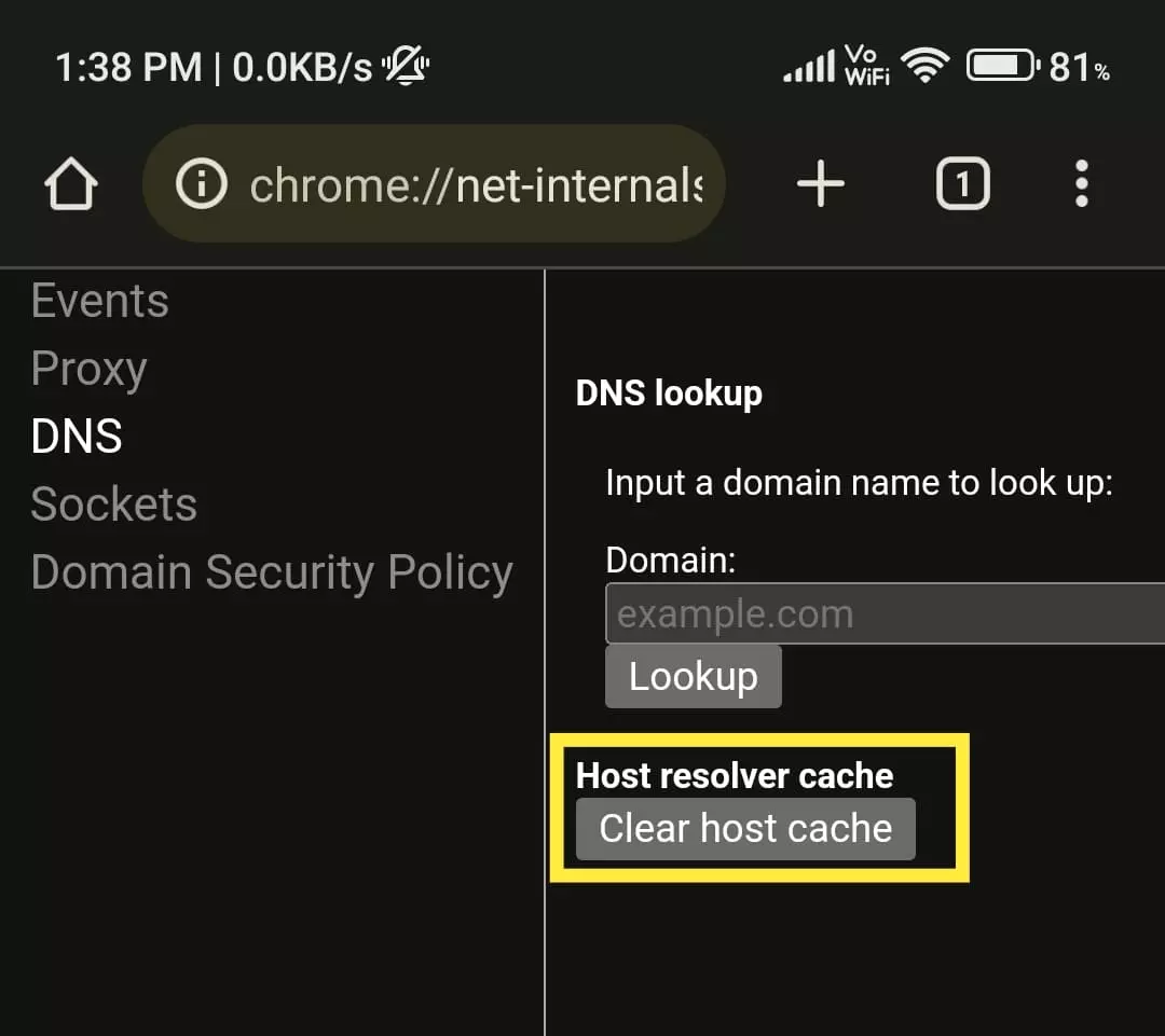 Clear DNS Cache
