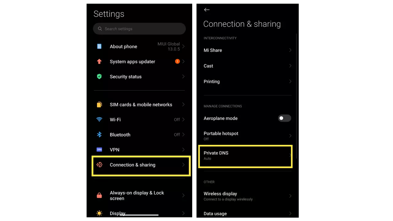 Private DNS option