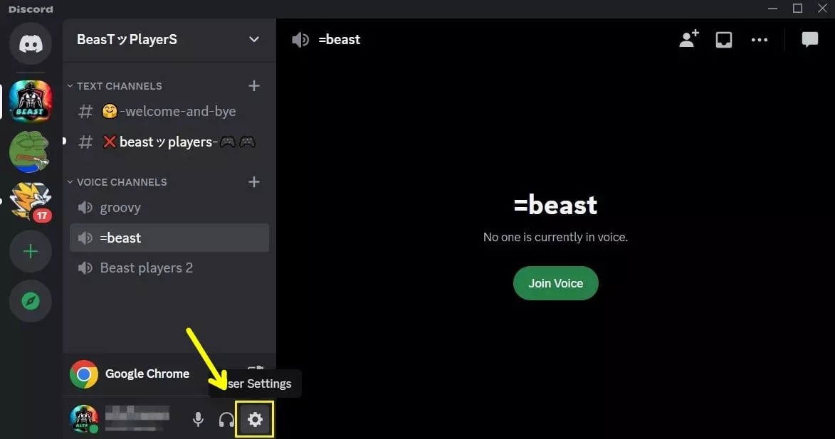 Discord setting