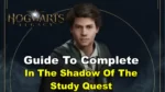 In The Shadow Of The Study Hogwarts legacy