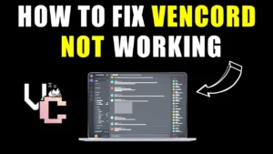 How to fix vencord not working