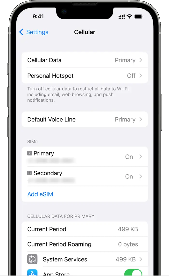 How to check if eSIM is activated in iPhone