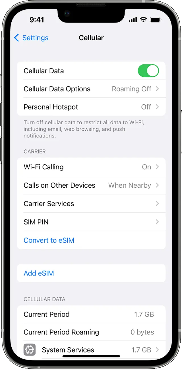 How to check if eSIM is activated in iPhone