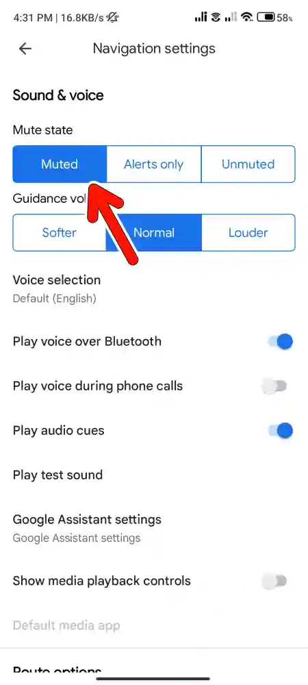 How To Turn Off Google Maps Voice