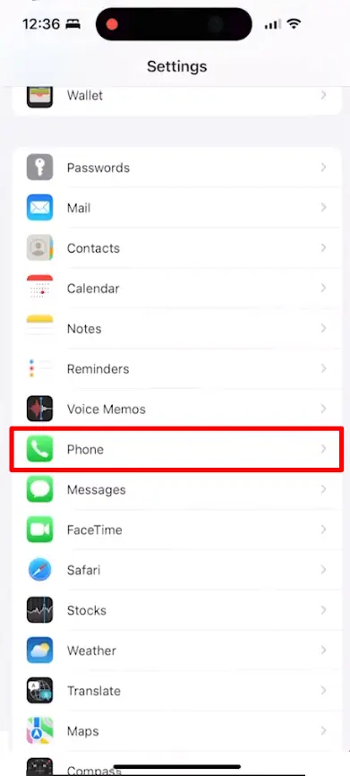 Iphone's Phone setting