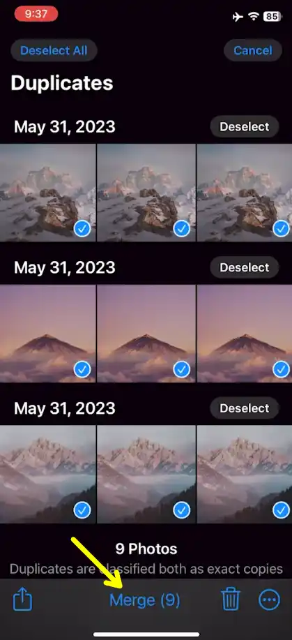 Delete Duplicate Photos on iPhone