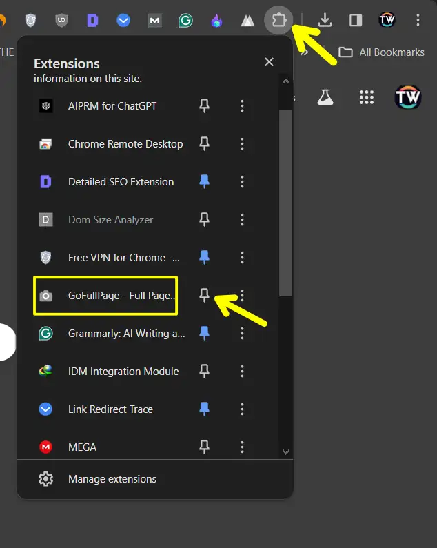 Pin gofullpage Chrome extension